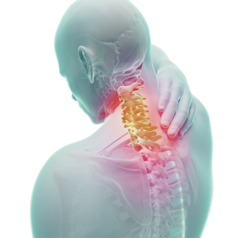 Neck and shoulders icon