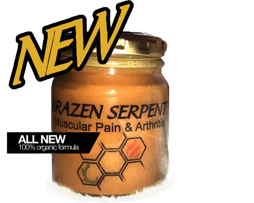 Brazen Serpent Natural Pain Relief Ointment by Heal the Hood